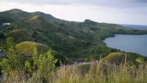 Sylvia Hill Labuan Bajo: Experience the Fun Trip & Capture Every Moment!