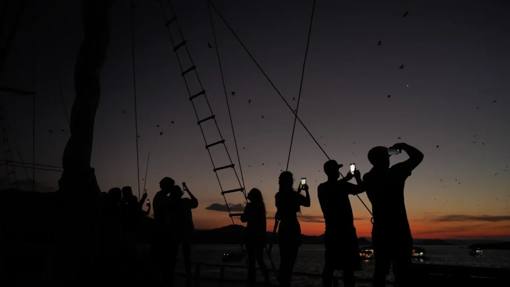 Sunset in Kalong Island Labuan Bajo | Labuan Bajo Productions