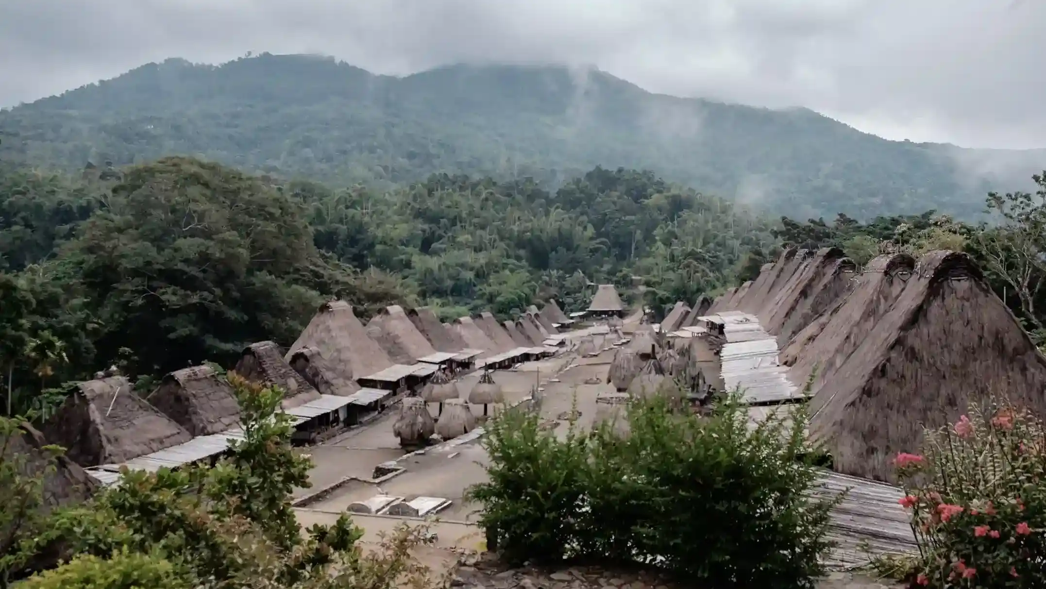 Looking for a Videographer in Bena Traditional Village? Here Are the Tips, Prices & Recommendations!