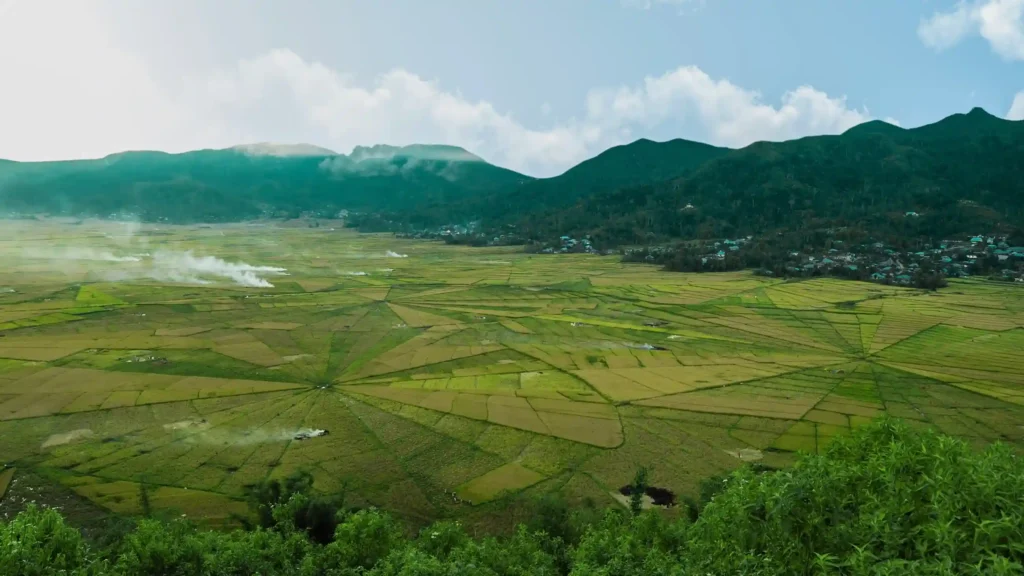 Lingko Spider Web Rice Fields | Labuan Bajo Trip Documentation | Labuan Bajo Productions