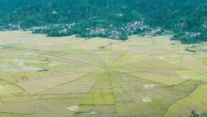 Looking for a Videographer in Lingko Spider Web Rice Fields? Here Are the Tips, Prices & Recommendations!