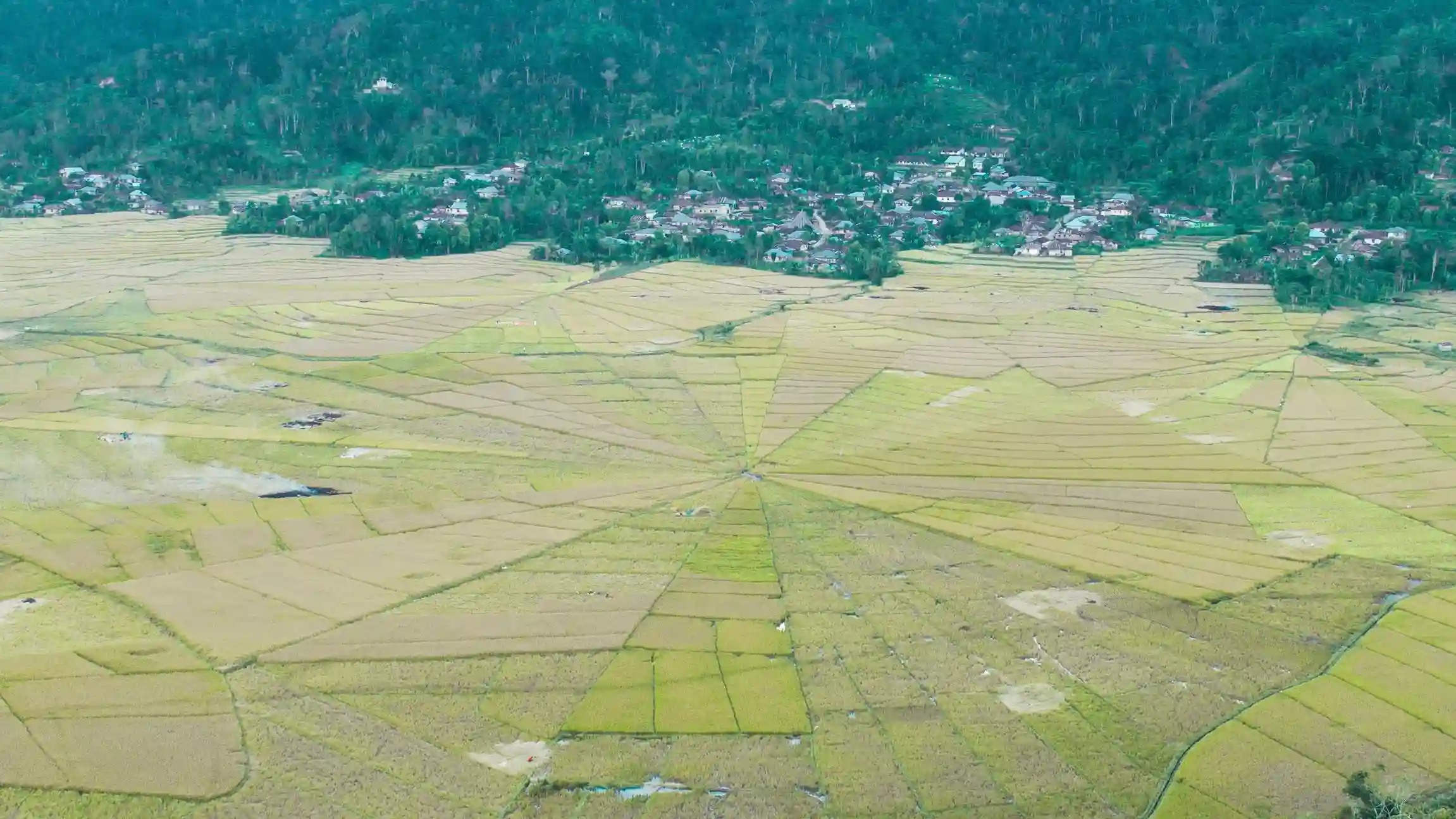 Looking for a Videographer in Lingko Spider Web Rice Fields? Here Are the Tips, Prices & Recommendations!