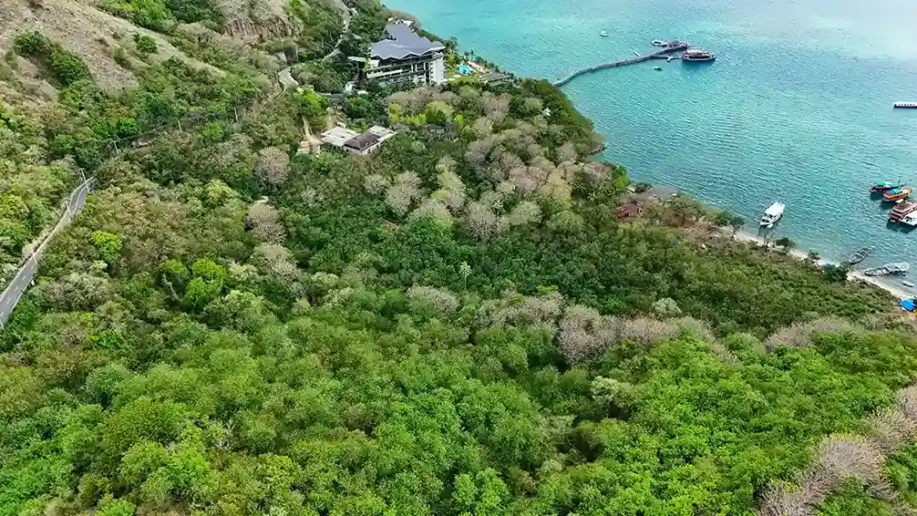 Invest Komodo | Invest Land Komodo | Invest Labuan Bajo