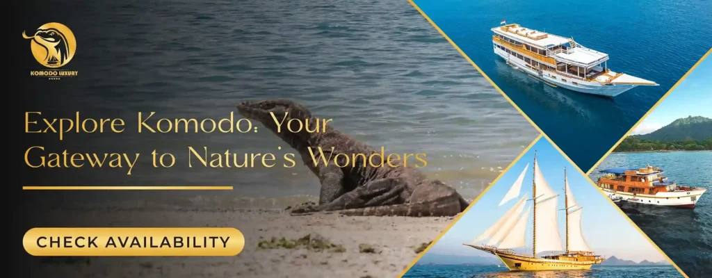Banner Komodo Island Tour | Komodo Luxury