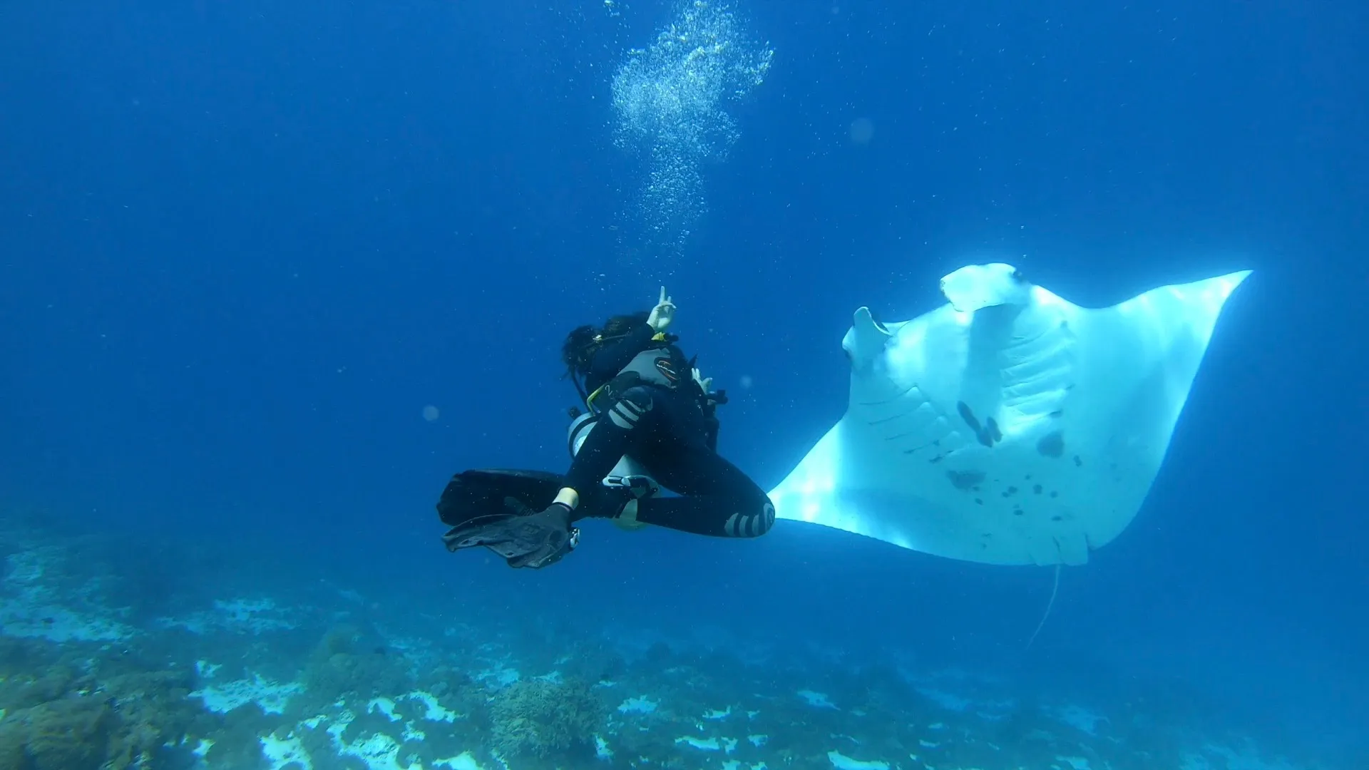 6 Best Underwater Photography Spots in Labuan Bajo and Documentation Tips