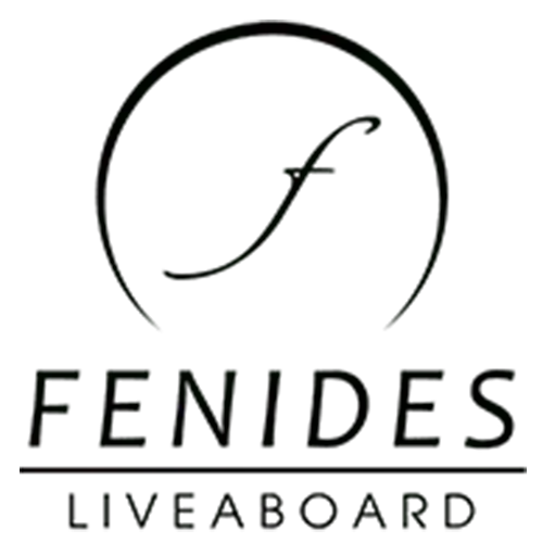 Fenides-Logo