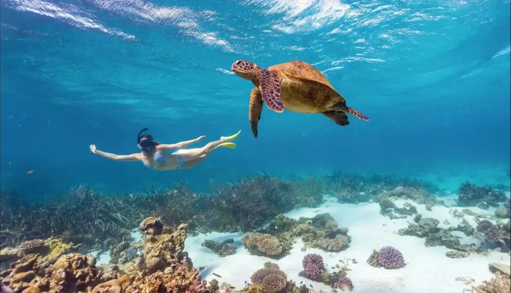 Fotografer Underwater Labuan Bajo | Paket Dokumentasi Trip Labuan Bajo | Labuan Bajo Productions