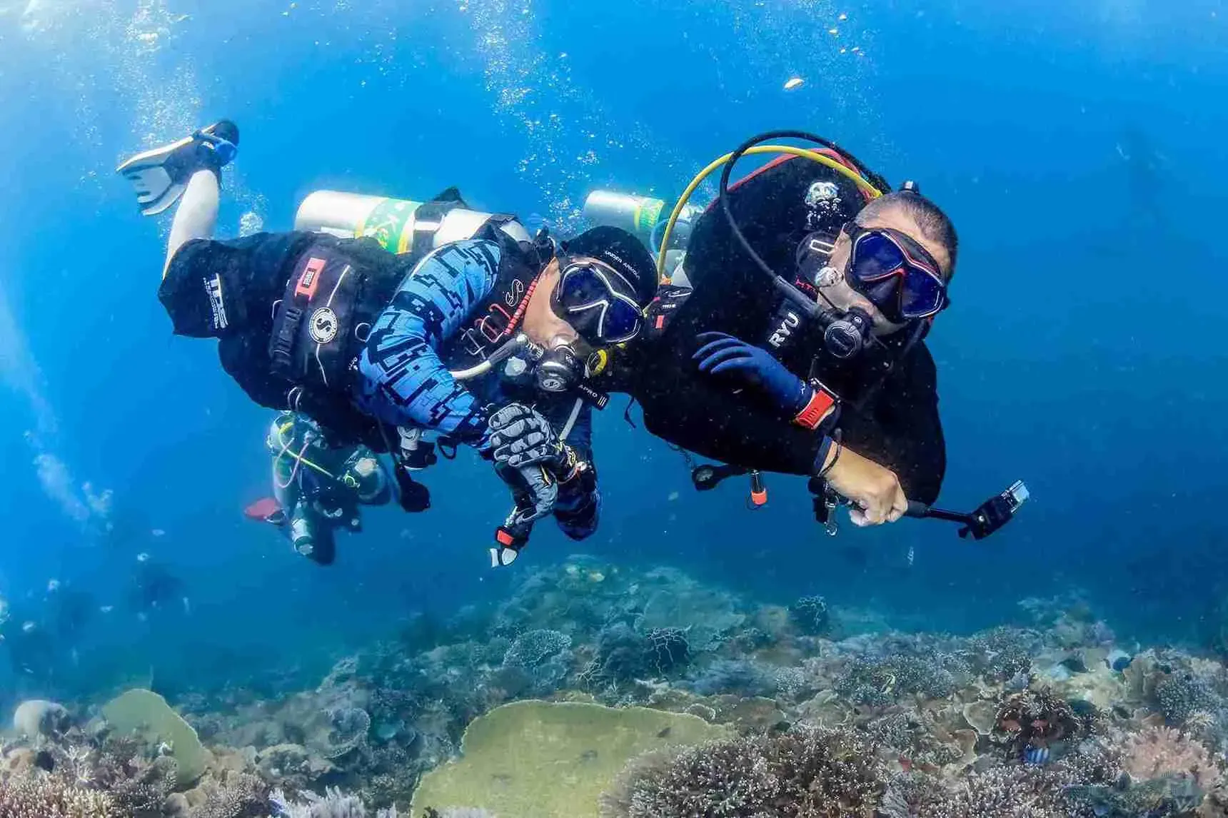 Fotografer Underwater Labuan Bajo | Paket Dokumentasi Trip Labuan Bajo | Labuan Bajo Productions