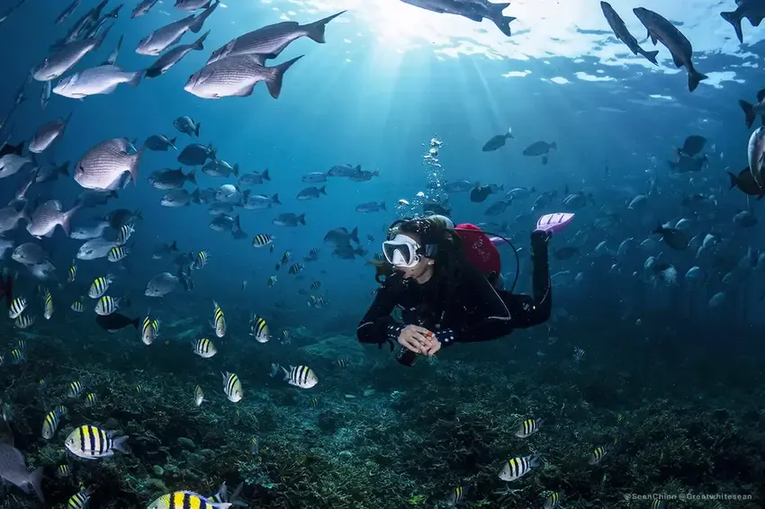 Paket Dokumentasi Trip Labuan Bajo | Labuan Bajo Productions