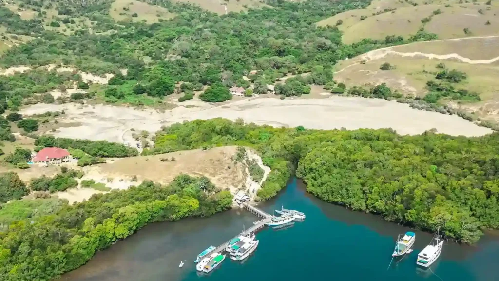 Videografer di Pulau Rinca | Labuan Bajo Productions