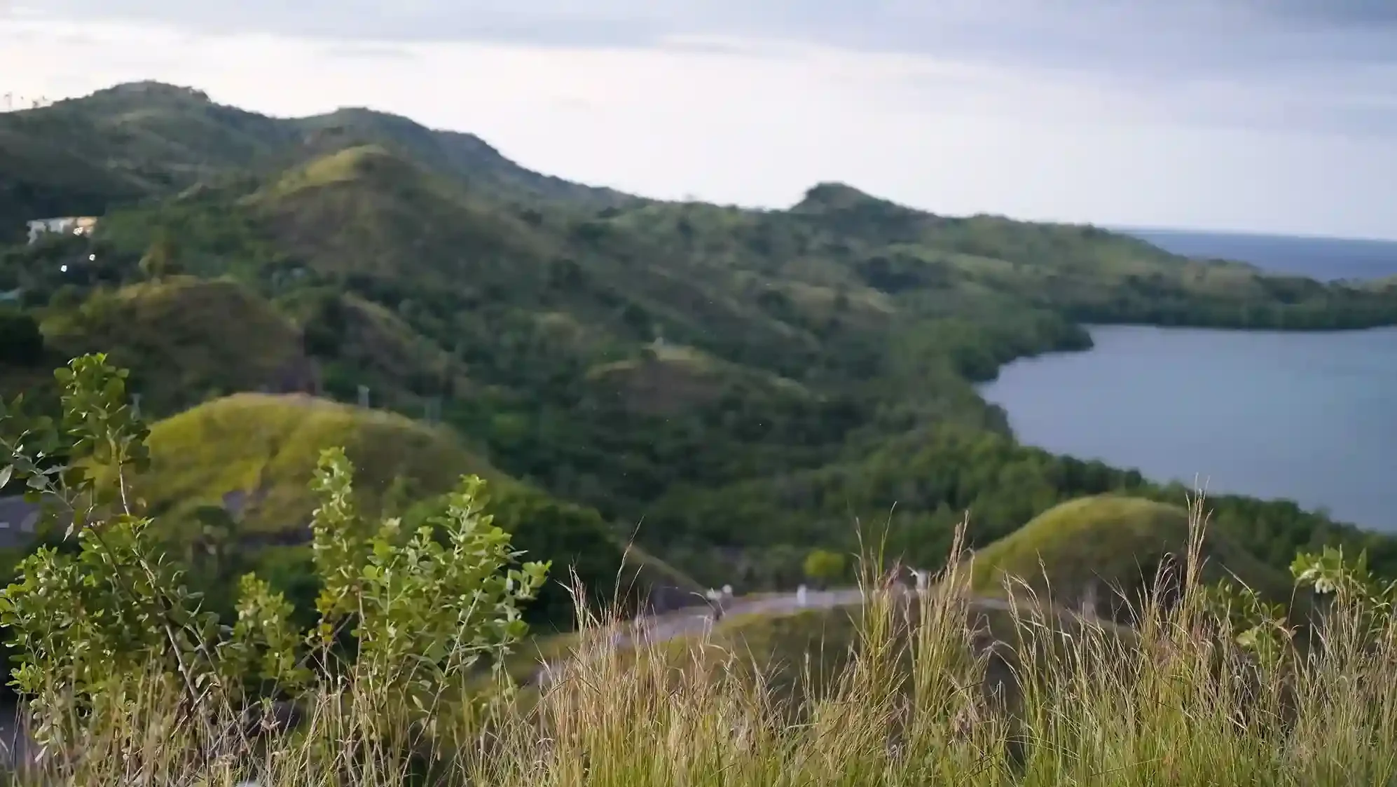 Bukit Sylvia | Paket Dokumentasi Trip Labuan Bajo | Labuan Bajo Productions