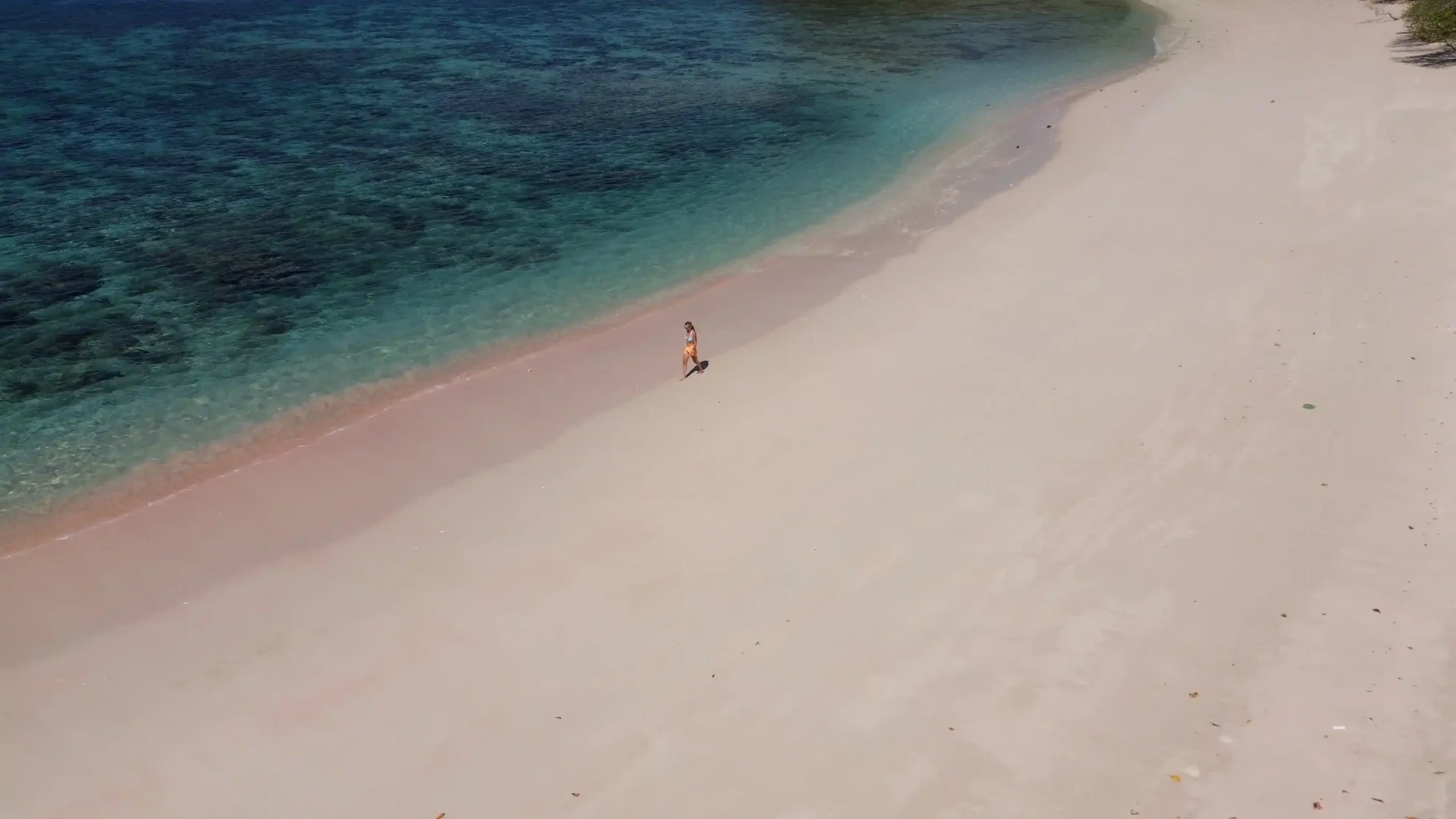 Videografer di Pink Beach | Labuan Bajo Productions