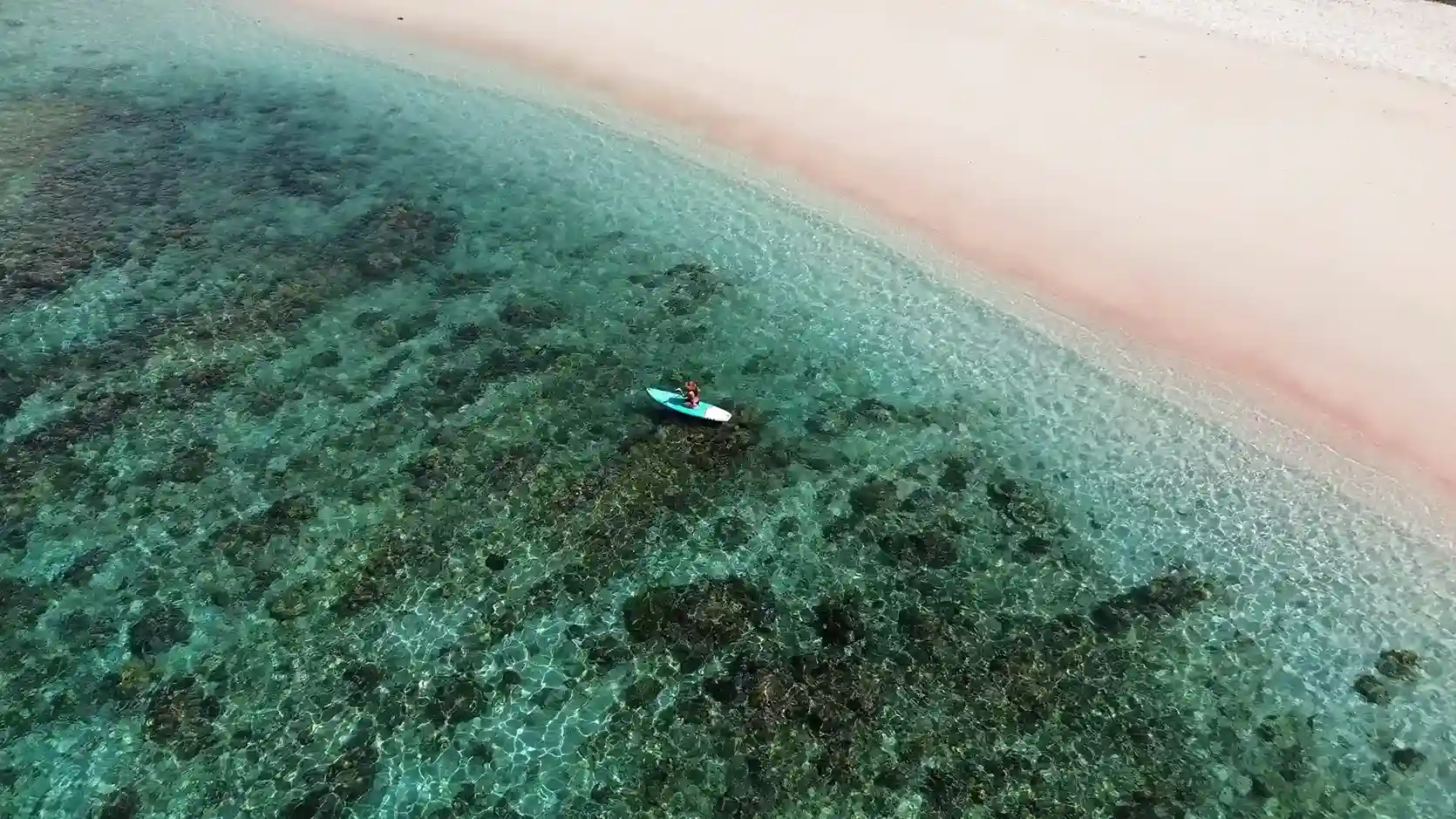 Videografer di Pink Beach | Labuan Bajo Productions
