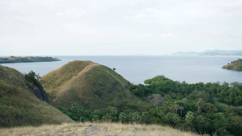 Fotografer di Bukit Sylvia Labuan Bajo | Labuan Bajo Productions