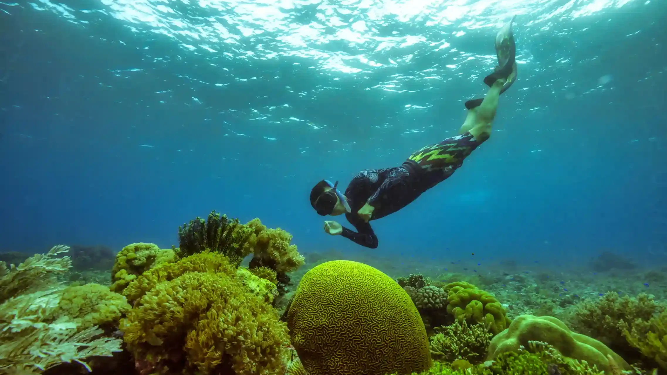 Videografer Underwater di Labuan Bajo | Paket Dokumentasi Trip di Labuan Bajo | Labuan Bajo Productions