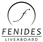 Fenides