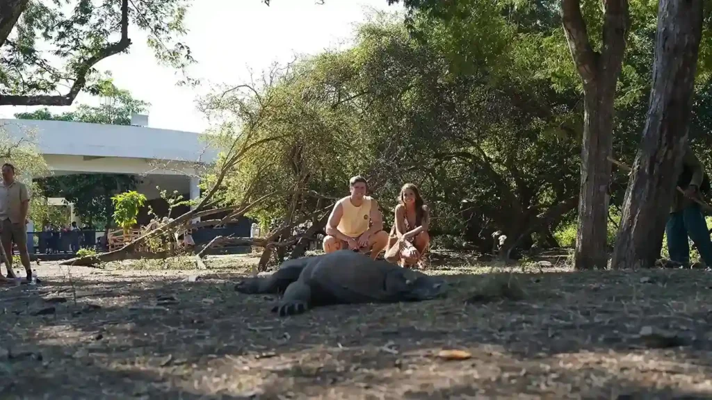 Komodo di Pulau Rinca Labuan Bajo | Paket Dokumentasi Labuan Bajo | Labuan Bajo Productions