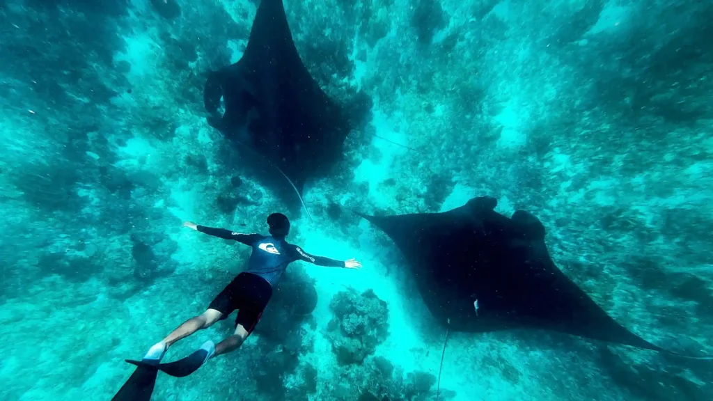 Manta Point Labuan Bajo | Paket Dokumentasi Trip Labuan Bajo | Labuan Bajo Productions