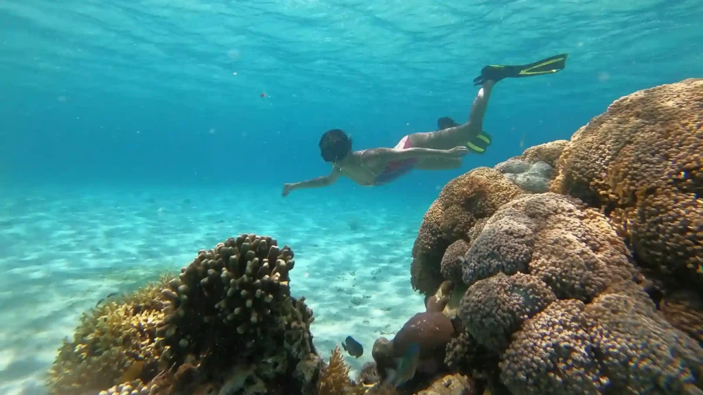 Snorkeling di Pulau Siaba Labuan Bajo | Paket Dokumentasi Trip Labuan Bajo | Labuan Bajo Productions