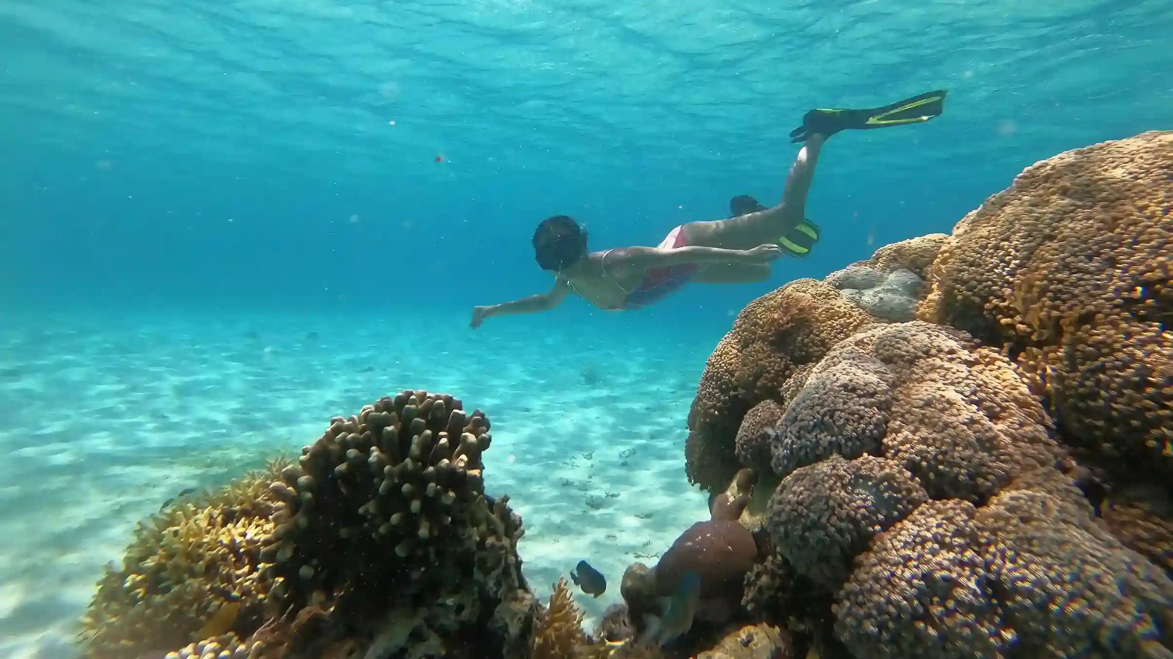 Snorkeling di Pulau Siaba Labuan Bajo | Paket Dokumentasi Trip Labuan Bajo | Labuan Bajo Productions