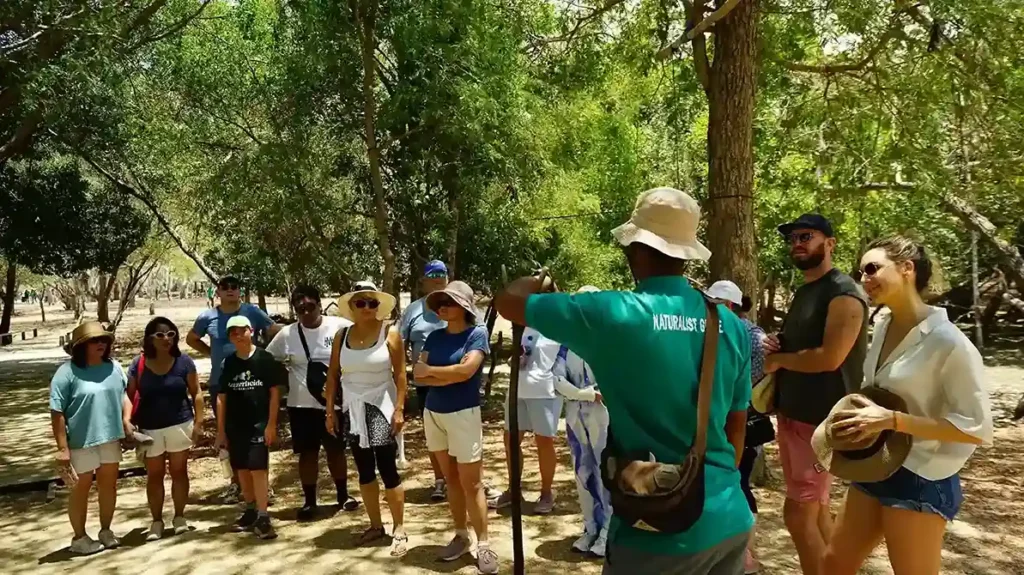 Trekking bersama Ranger di Komodo Island | Paket Dokumentasi Trip Labuan Bajo | Labuan Bajo Productions
