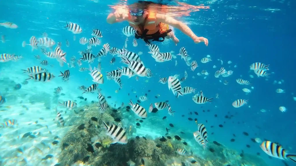 Pulau Kanawa Labuan Bajo | Paket Dokumentasi Trip Labuan Bajo | Labuan Bajo Productions