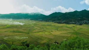 Lingko Spider Web Rice Fields: Rasakan Liburan Seru & Abadikan Setiap Momennya!