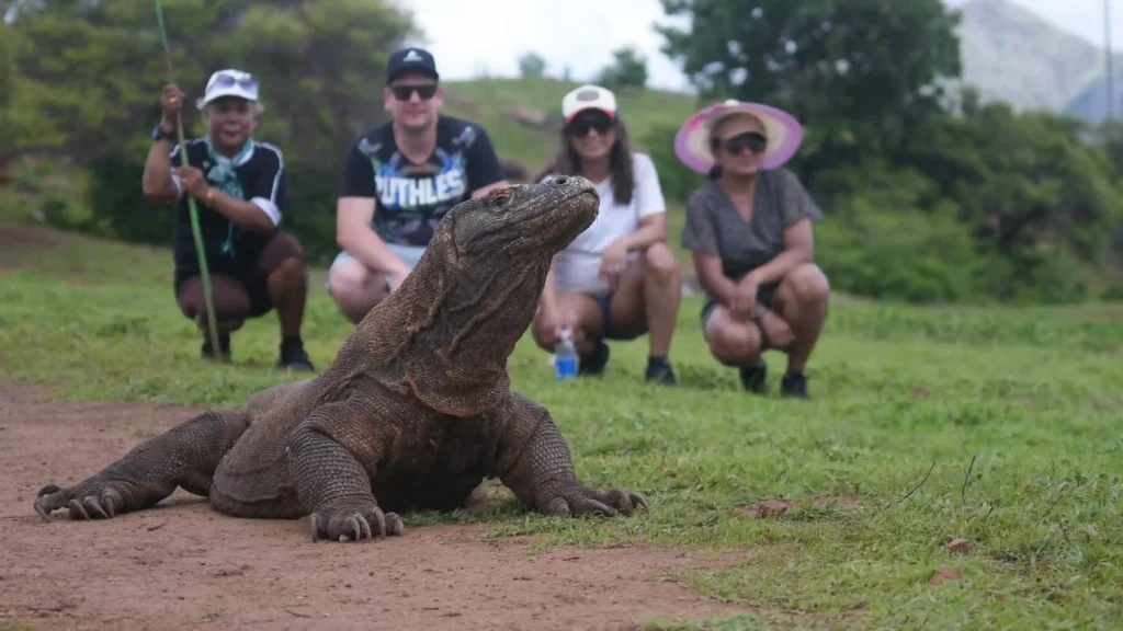 Komodo | Paket Dokumentasi Trip Labuan Bajo | Labuan Bajo Productions