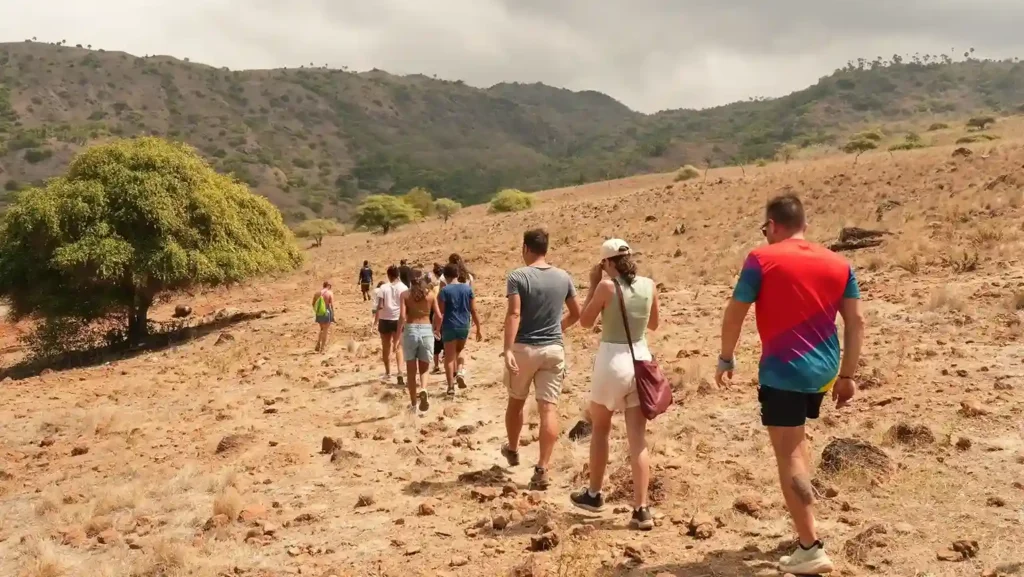 Trekking Pulau Komodo | Labuan Bajo Productions
